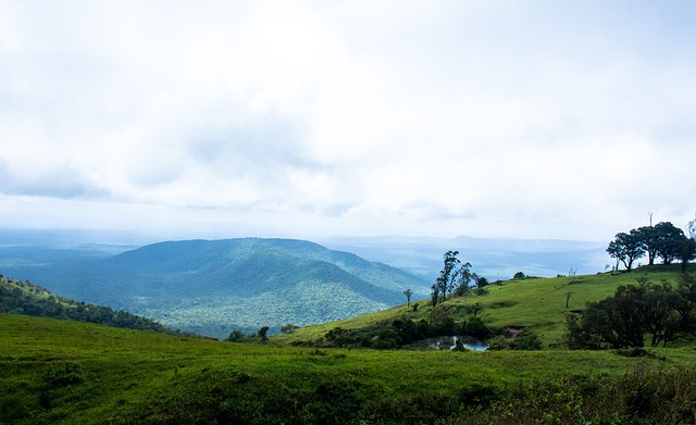 29岁的罗伊·基恩（Roy Keane）的女儿在被诊断出与塞莱娜·戈麦斯（Selena Gomez）相同的疾病后，认为“生命已经结束”.