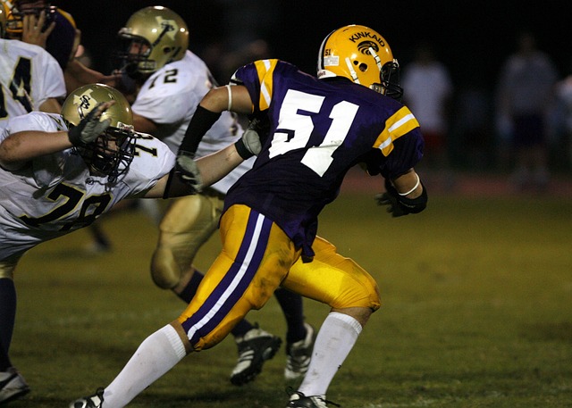 而是可以借 而是可以借