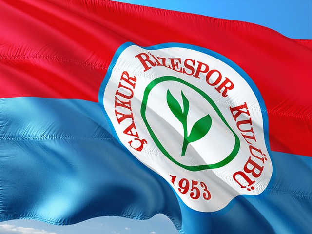 愿意为团队 愿意为团队