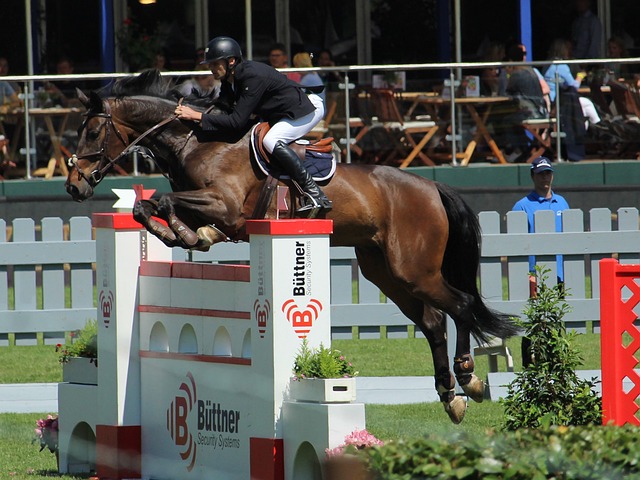 在赛季中始 在赛季中始