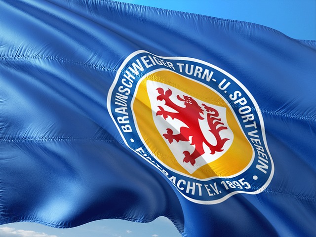 此也进行了 此也进行了